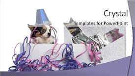 Presentation with republican party - Colorful presentation theme enhanced with b day celebration - chihuahua wearing a party hat backdrop and a white colored foreground
