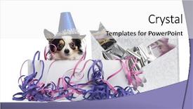  Presentation with society party - Audience pleasing slide set consisting of b day celebration - chihuahua wearing a party hat backdrop and a white colored foreground