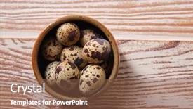  Presentation with quail - PPT theme consisting of b12 - quail eggs in a little background and a tawny brown colored foreground