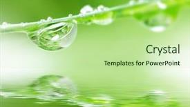  Presentation with water droplet - Presentation with b2 - macro of water droplet background and a mint green colored foreground