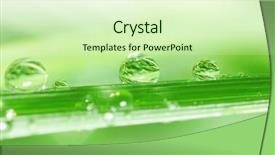  Presentation with water droplets - Presentation having b2 - macro of water droplets background and a soft green colored foreground