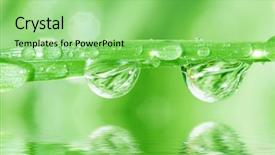  Presentation with water droplets - Colorful PPT theme enhanced with b2 - macro of water droplets backdrop and a seafoam green colored foreground