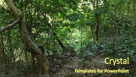  Presentation with deep web technology fractal - Colorful PPT theme enhanced with ba island halong bay vietnam backdrop and a tawny brown colored foreground