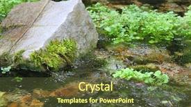  Presentation with tree sky trees green - Colorful slides enhanced with babbling brook - stream with rocks and small backdrop and a tawny brown colored foreground