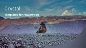  Presentation with diamond - Audience pleasing slide deck consisting of baboon-an-the-edge backdrop and a ocean colored foreground