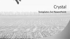  Presentation with field - Audience pleasing presentation theme consisting of baby alimentation - flying stork over the winter backdrop and a white colored foreground