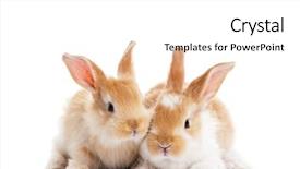  Presentation with ears - Colorful presentation enhanced with baby animals - group of twobaby light brown backdrop and a white colored foreground