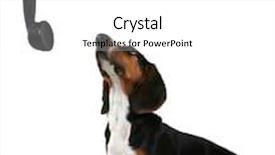  Presentation with basset hound - PPT layouts featuring baby basset hound looking up background and a white colored foreground