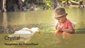  Presentation with geese - Amazing presentation having baby birds - boy and geese near lake backdrop and a yellow colored foreground