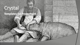  Presentation with zoo - Amazing slide set having baby book animals - hippo who was born backdrop and a gray colored foreground