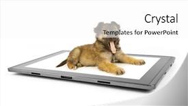  Presentation with hand shake computer - Audience pleasing PPT theme consisting of baby book animals - tablet computer isolated backdrop and a  colored foreground