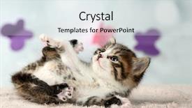  Presentation with hello kitty cute little kitten - Amazing PPT theme having baby butterfly - cute little kitten on light backdrop and a  colored foreground