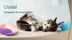  Presentation with hello kitty cute little kitten - Colorful PPT theme enhanced with baby butterfly - cute little kitten on light backdrop and a sky blue colored foreground