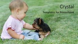  Presentation with child brain baby brain - Slides with baby child and yorkshire terrier background and a seafoam green colored foreground
