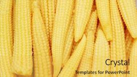  Presentation with corn - Presentation design having baby corn arranged as a background background and a yellow colored foreground
