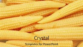  Presentation with corn cobs - Cool new theme with baby corn cobs arranged as a background backdrop and a yellow colored foreground