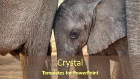  Presentation with mother baby - Presentation design featuring baby-elephant-in-okavango-delta background and a tawny brown colored foreground