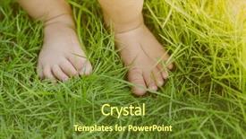  Presentation with grass - Audience pleasing slide set consisting of baby feet in grass filtered backdrop and a tawny brown colored foreground