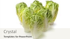  Presentation with baby jesus christmas rustic isolated - Beautiful slide deck featuring gems - baby gem lettuce isolated backdrop and a soft green colored foreground