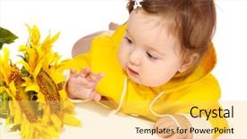  Presentation with curiosity - Amazing PPT theme having baby girl looking at sunflowers with curiosity backdrop and a yellow colored foreground
