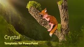 Presentation with baby tree - Presentation theme consisting of baby in fox outfit sleeping on a mossy tree branch background and a tawny brown colored foreground