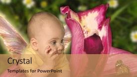  Presentation with baby prematuro - Audience pleasing slides consisting of baby on orchid with butterfly backdrop and a coral colored foreground