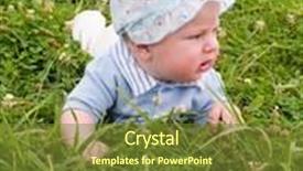  Presentation with clover - Cool new presentation theme with baby on the clover meadow backdrop and a tawny brown colored foreground