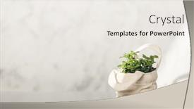  Presentation with tote bag - Audience pleasing PPT theme consisting of baby-plant-against-white-marble backdrop and a sky blue colored foreground