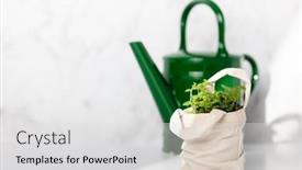  Presentation with tote bag - Beautiful PPT theme featuring baby-plant-against-white-marble backdrop and a light gray colored foreground