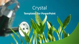  Presentation with baby color - Presentation design featuring baby-plant-growing-with-blue background and a ocean colored foreground