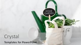  Presentation with home garden - Audience pleasing PPT theme consisting of baby-plants-watercan-and-garden backdrop and a light gray colored foreground