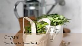  Presentation with home garden - Theme enhanced with baby-plants-watercan-and-garden background and a coral colored foreground