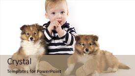  Presentation with child sexual abuse - PPT theme featuring baby puppy - child and puppies sheltie background and a coral colored foreground