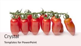  Presentation with fresh water splash green apple isolated white - Amazing slide set having close up of hand of woman holding glass of cocktail skillful young barman is working in bar he is standing and smiling focus on female arm backdrop and a gray colored foreground