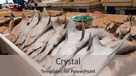  Presentation with sharks - Beautiful presentation theme featuring baby sharks being sold backdrop and a mint green colored foreground