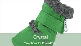 Presentation with green - Slides consisting of baby showerfeet - green boots for dog background and a ocean colored foreground