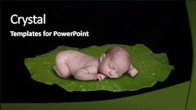  Presentation with sleeping baby - Amazing presentation theme having baby sleeping on lilly pad backdrop and a black colored foreground