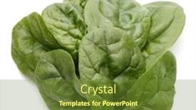  Presentation with spinach - Audience pleasing PPT layouts consisting of baby-spinach-leaves-isolated backdrop and a tawny brown colored foreground