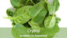  Presentation with spinach - Cool new presentation with baby spinach leaves backdrop and a tawny brown colored foreground