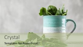  Presentation with spinach - Slide set consisting of baby-spinach-leaves background and a mint green colored foreground