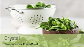  Presentation with spinach - Beautiful theme featuring baby spinach leaves backdrop and a mint green colored foreground