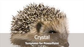  Presentation with front of burj khalifa - Theme consisting of young green plant background and a  colored foreground.