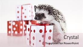  Presentation with baby christmas - Amazing presentation theme having makeup friendship and leisure concept - two smiling teenage girls applying make up at home backdrop and a coral colored foreground