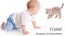  Presentation with kitten - Cool new presentation theme with baby with kitten isolated on white background backdrop and a sky blue colored foreground