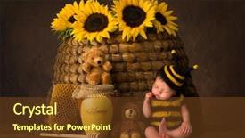  Presentation with cute baby - Cool new PPT theme with babytemplate - sleepy cute baby in bee backdrop and a tawny brown colored foreground
