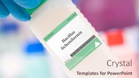  Presentation with spore - Presentation design consisting of bacillus-licheniformis-bacteria-a-spore background and a cream colored foreground