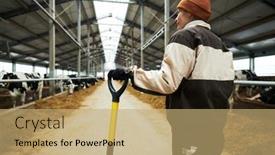  Presentation with dairy - PPT theme featuring back-of-young-female-farmer background and a coral colored foreground