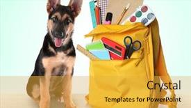  Presentation with color full - Cool new PPT theme with back to school concept cute backdrop and a yellow colored foreground