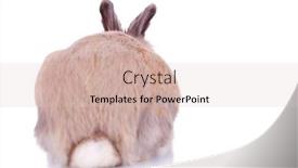 Presentation with rabbit - Cool new theme with back-view-of-a-cute backdrop and a lemonade colored foreground