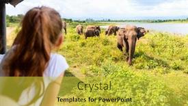 Presentation with elephants - Audience pleasing presentation theme consisting of back-view-of-adorable backdrop and a yellow colored foreground